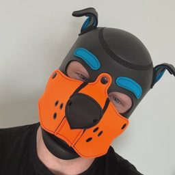 Pup Ruckus