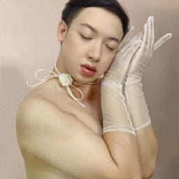 PJThaiass