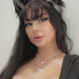 seidorei_kitten_free