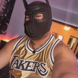 Dazzle Cub
