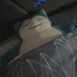 miauusita🩷